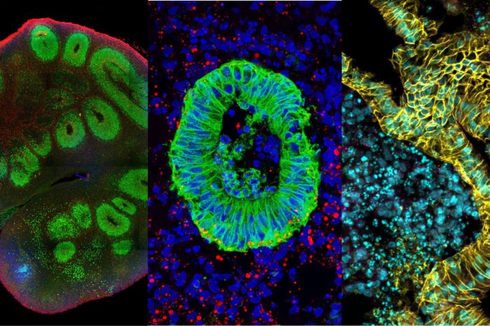 3D Culture Facility website banner v6