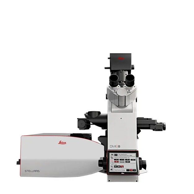 2025-02-07-multiphoton-microscope
