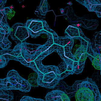 sbf-protein structure