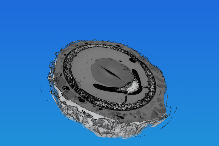 Micro-CT image of ferrero chocolate cross section on blue background