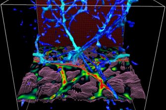 Cosmological variability of the fundamental constants is researched by a team at the UNSW Department of Astrophysics and Optics.