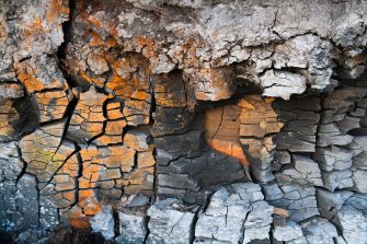 The origin, and nature of life during the first four billion years of Earth's history is of fundamental importance to astrobiology