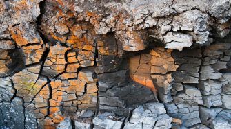 The origin, and nature of life during the first four billion years of Earth's history is of fundamental importance to astrobiology