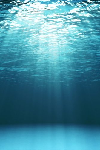 Fishing vessels lines up along a dock