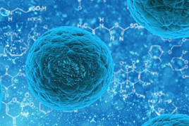 Microbiology & Microbiomes explores the importance of microbes in the environment and microbial contributions to health and disease.