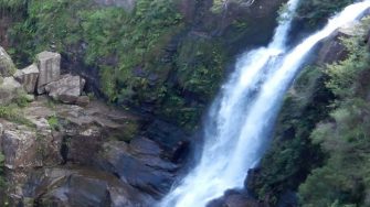 Rocky landscape with trees and waterfall