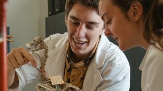 Two students examing a model of a dinosaur skeleton