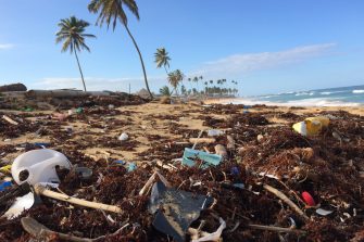Polluted tropical beach in Dominican Republic