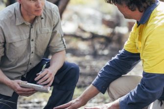 Rockingham Lake regional park. Team of scientific environmental conservationist working together collecting data and examining Tree Grass. The Australian Bush has been damaged by fire.