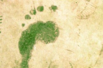 Green ecological footprint