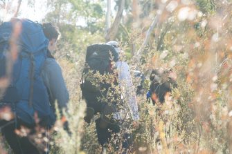 People bushwalking