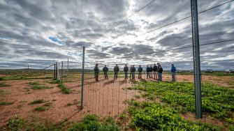 UNSW VC with two academics at Fowlers Gap creek