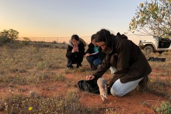 Students Releasing Bilby - Wild Deserts