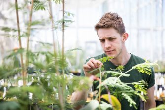 Students in the School of Biological, Earth and Environmental Sciences Glasshouse inspecting plants