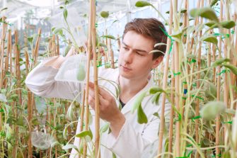 Student studying plants in glasshouse