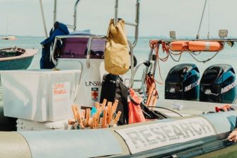 Inflatable boat with young woman in wetsuit looking at watch
