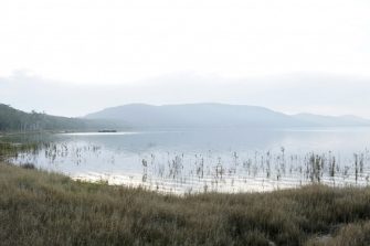 Misty lake with grass in foreground