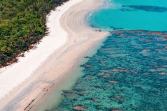 tropical island seashore
