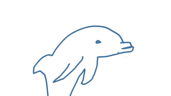 Dolphin sketch