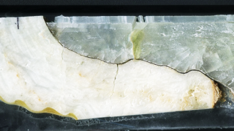 2025-01-30-bees-honours-stalagmite-horizontal