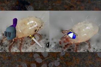 2025-03-14-Does-fighting-come-at-a-cost