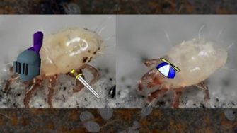 2025-03-14-Does-fighting-come-at-a-cost