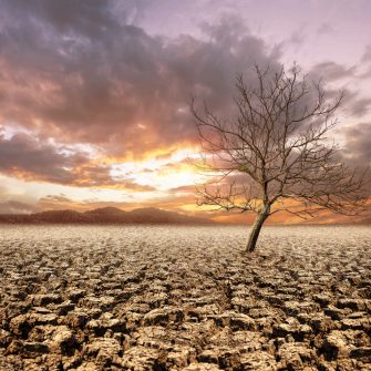 Dry cracked land with dead tree and sky in background a concept of global warming