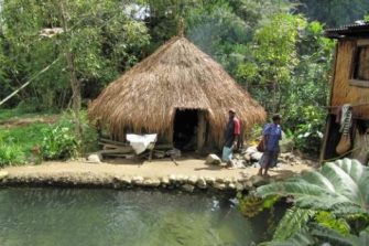 Small hut in Papua New Guinea