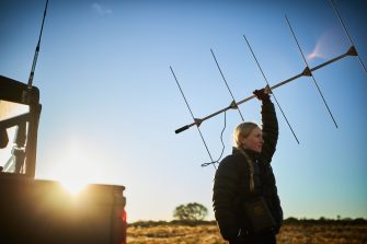 Brianna Coulter tracking Greater Bilbies using antenna in desert