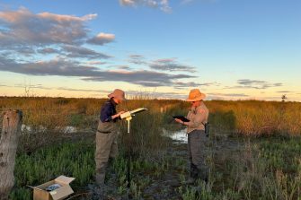 Two people standing in a wetland landscape. Both look down and are inputting into electronic devices.