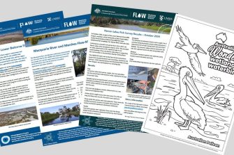 Factsheets and a line drawing spread across image