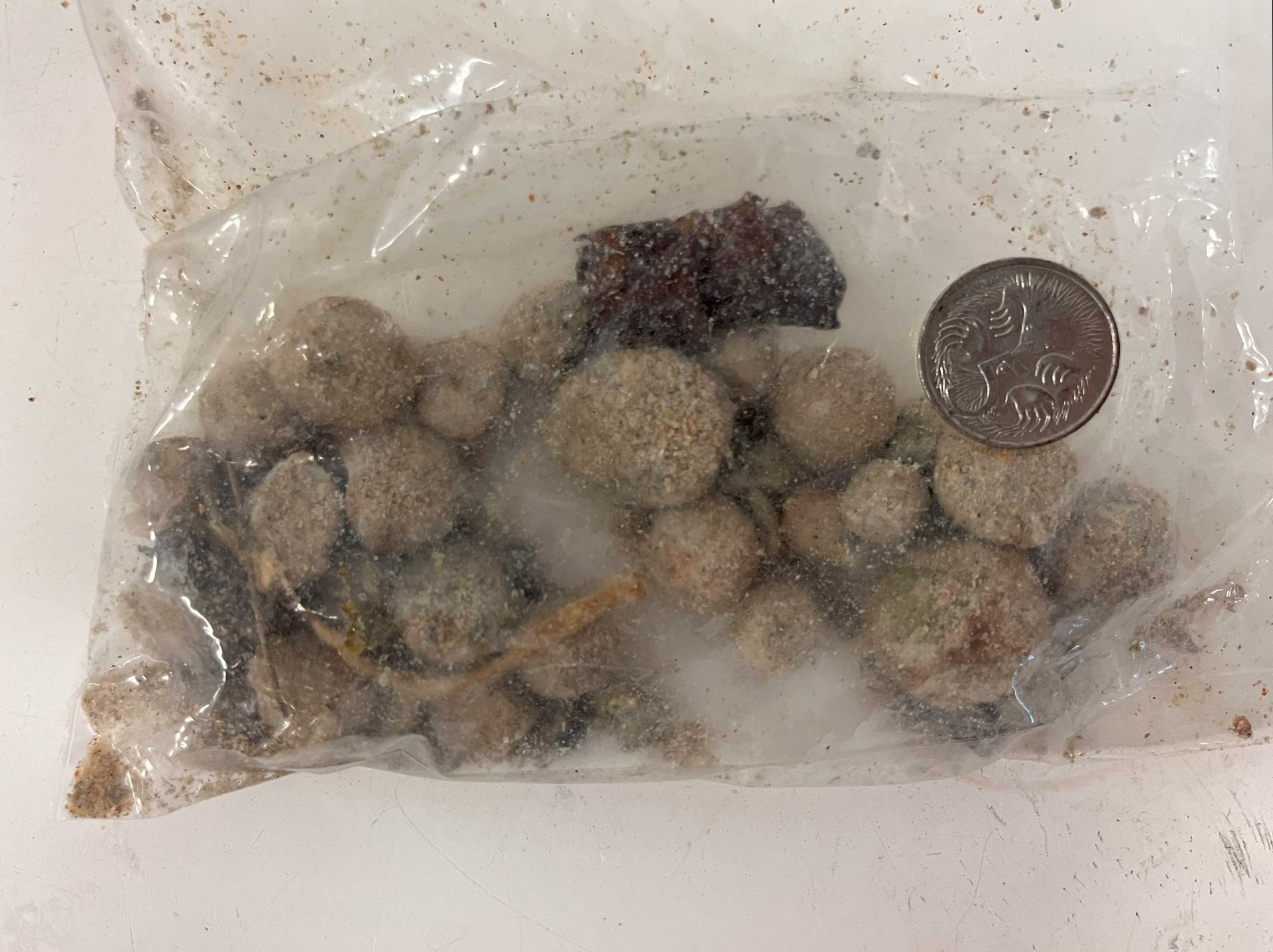 The beach debris that washed up on Dee Why beach, collected by scientists from UNSW Chemistry