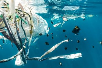 Plastic waste in the ocean