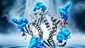 Banner image Biophysical Chemistry and Mass Spectrometry Lab