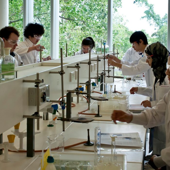 Students in chemistry lab