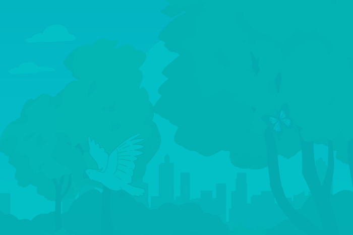 Future You resources