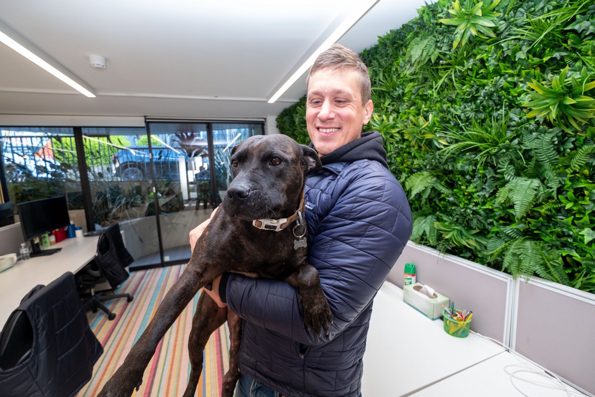 Paul holding his staffy x Rosie