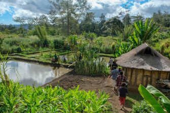 Row of people walking between hut and fish farm pond in the tropics