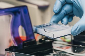 Agar Jelly plate banner