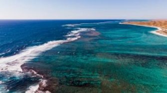 Ben Carless profile portrait