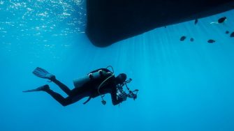 Environmental management