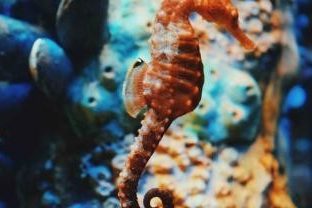 Naomi Tamar profile portrait