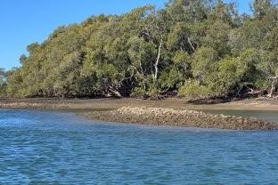 Oyster reef restoration in a changing ocean