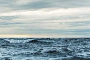 Ant Rozetsky profile portrait