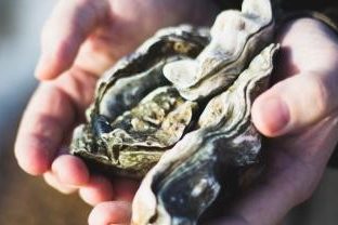 Charlotte Coneybeer profile portrait