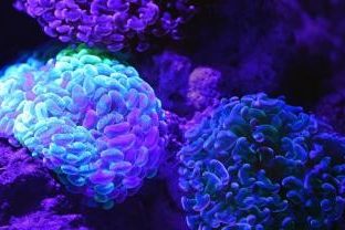 David Clode profile portrait