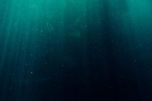 Scientia PhD Scholarship: Clothes, fibres and filters that reduce microplastic pollution