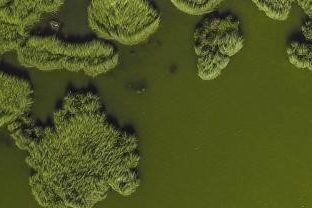 Ibrahim Mohamed profile portrait