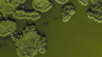 Ibrahim Mohamed profile portrait