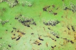 Aerial view of body of water